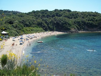 barabarca.jpg
